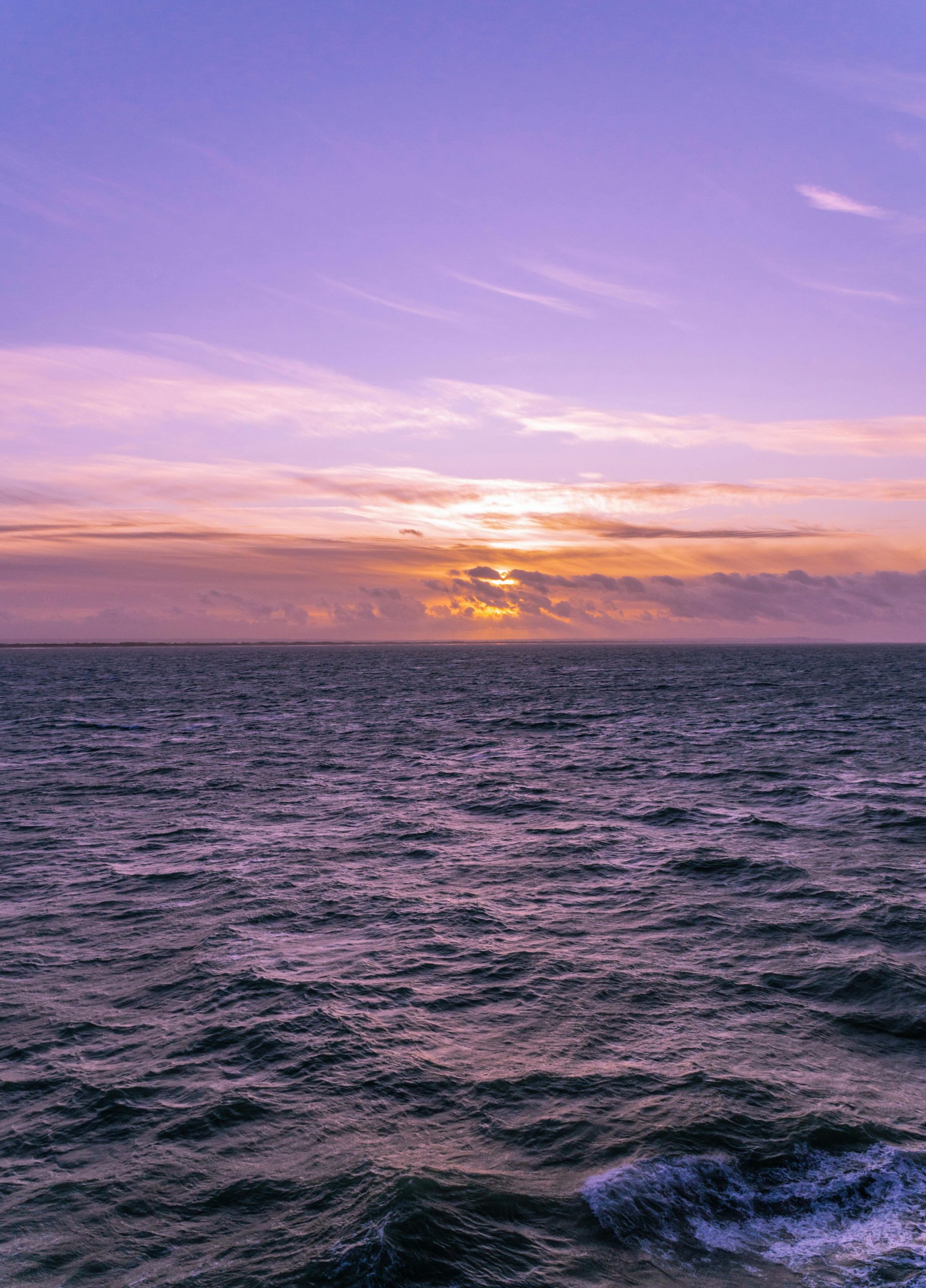 pexels-vali741-4537625 pexels-vali741-4537625